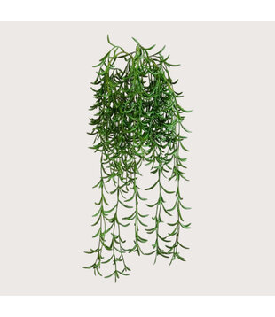 Succulent hanging plant Green H45