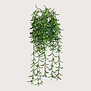 Succulent Hanging Plant Green H45