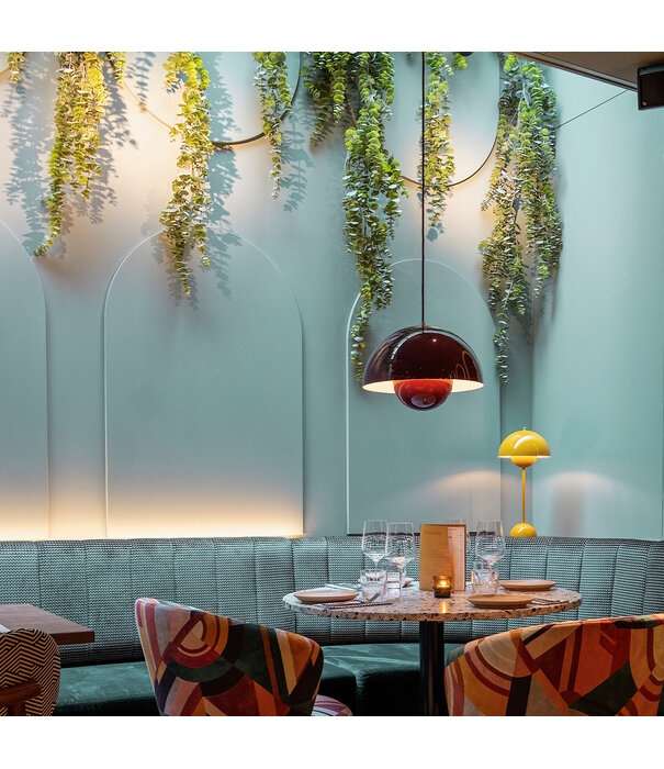 Eucalyptus Hanging Green H120