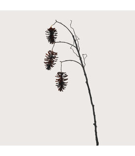 Pine cone 3-branch Bordeaux H140
