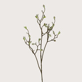 Magnolia Branch With Buds White H123