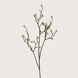Magnolia Branch With Buds White H123