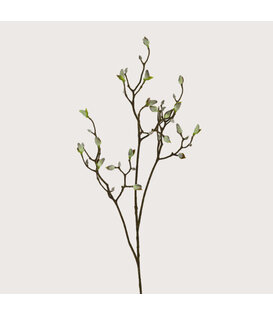 Magnolia Branch With Buds White H123