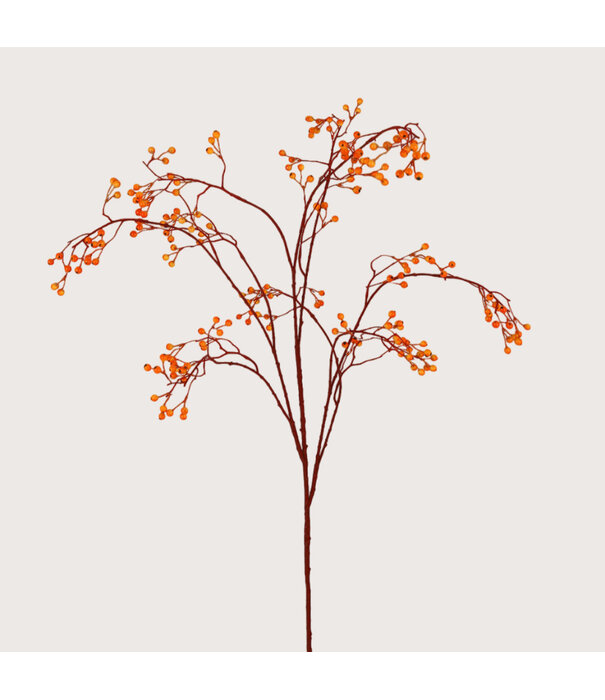 Berry branch Orange H135