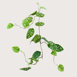 Monstera monkey garland Green L120