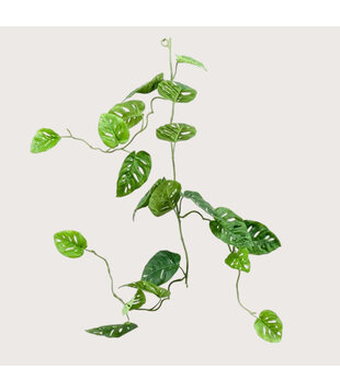 Monstera monkey garland Green L120