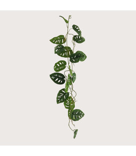 Hangplant Monstera Guirlande Groen H120