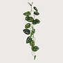 Monstera Garland Green H120