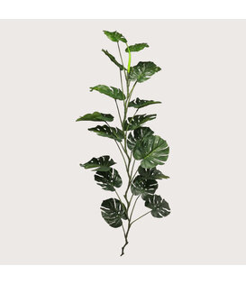Monstera Guirlande Groen H180