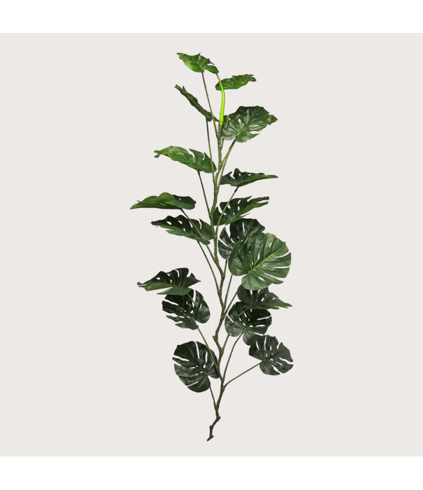 Monstera Guirlande Green H180