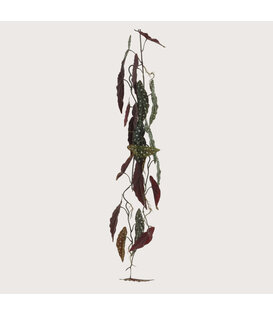 Hanging plant Begonia Garland Green H105