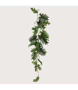 Hanging plant Philodendron Guirlande Green H105