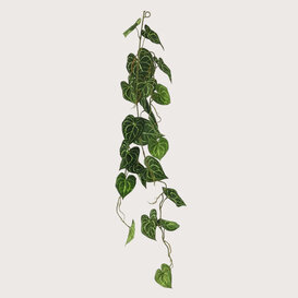 Scindapsus guirlande Groen H109