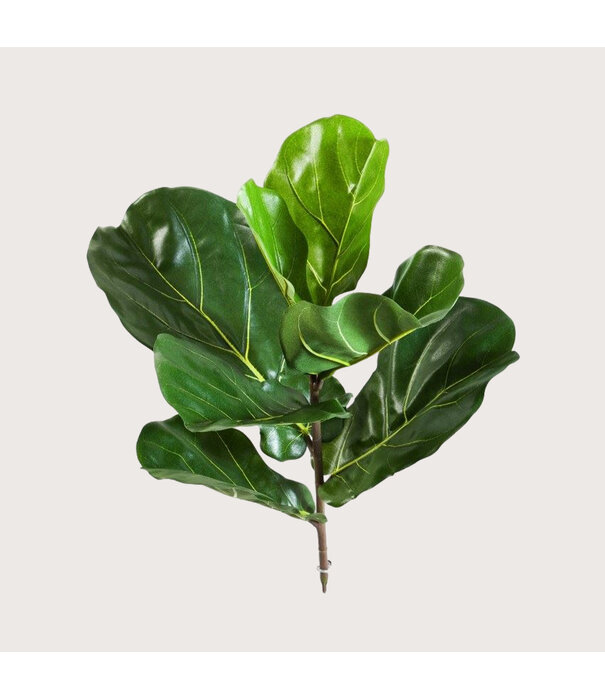 Lyrata Steker Groen H58