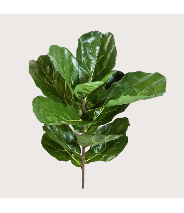 Lyrata Steker Groen H77