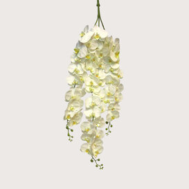 Orchid Forest Branch Cream H110