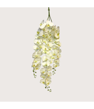 Orchid Forest Branch Cream H110