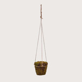 Hanging Moss Pot Green D12 H12 L70