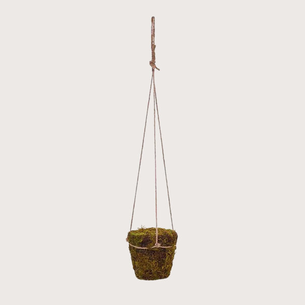 Hanging Moss Pot Green D12 H12 L70