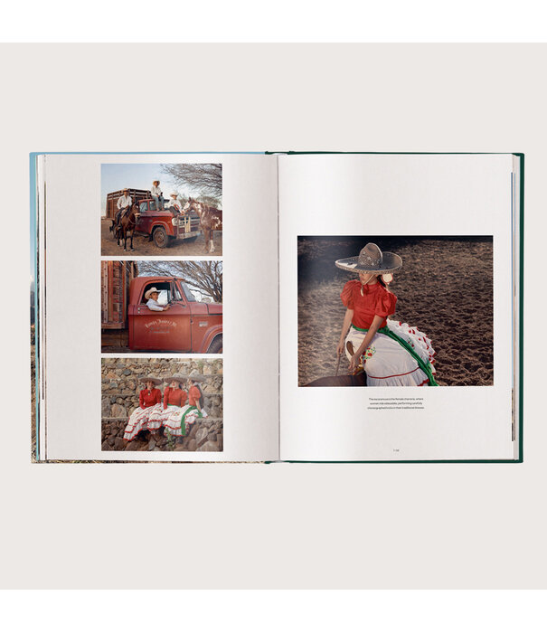 Boek Human Playground, Why We Play Bruin/ Groen L32 B25