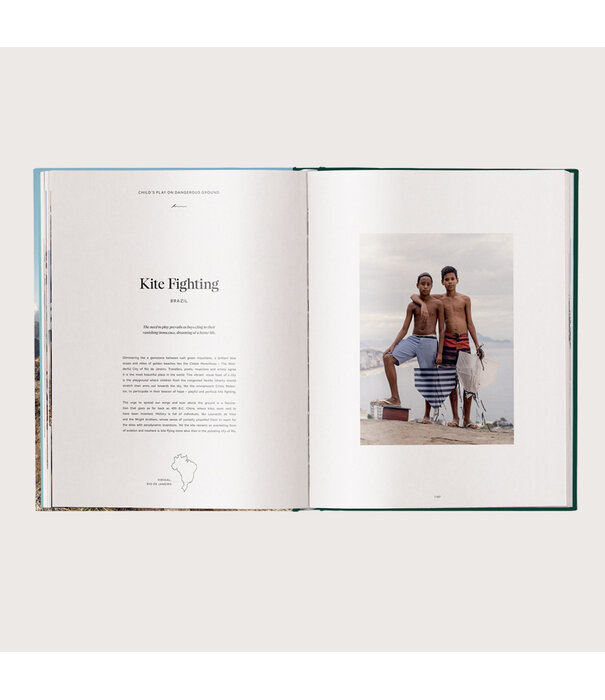 Boek Human Playground, Why We Play Bruin/ Groen L32 B25