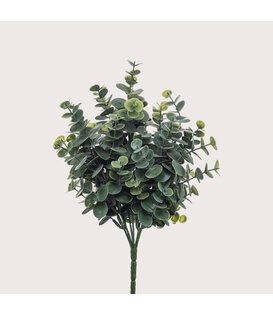 Eucalyptus Stick H30