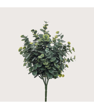 Eucalyptus Stick H30