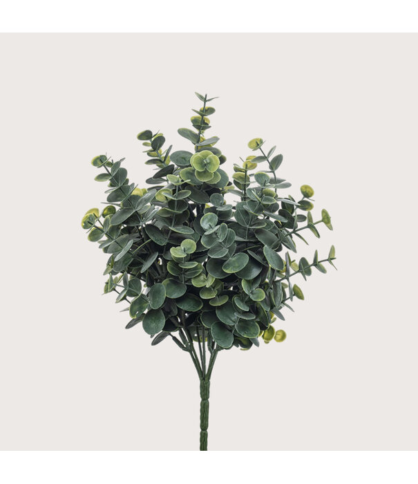 Eucalyptus Stick H30