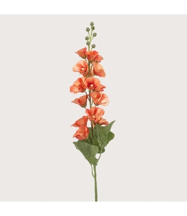 Hollyhock Orange H105
