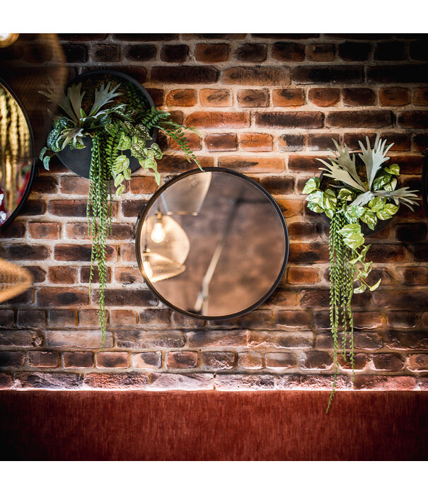 Mirror Dex Black Matt D55