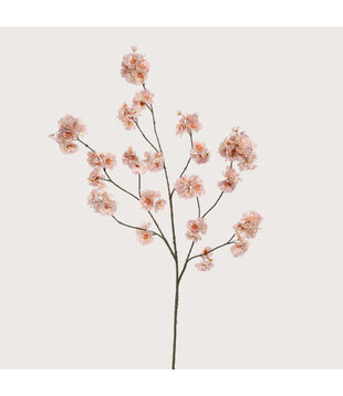 Blossom Branch Old Pink H130