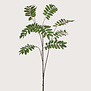 Mahonia Branch Green H150