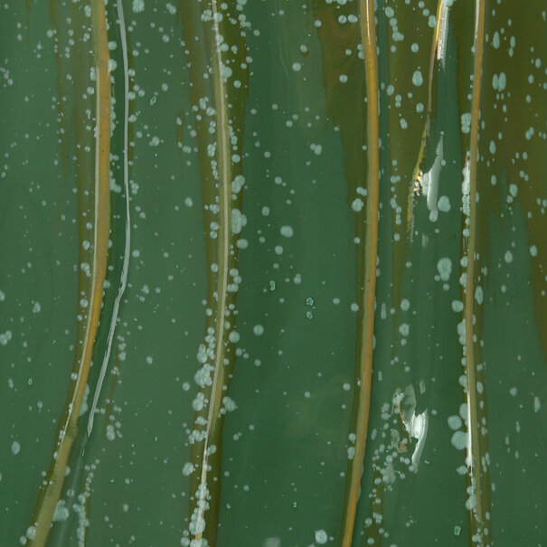 Vaas Fiore Groen D16.5 H41