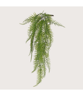 Woodwardia Fern Stick UV resistant H70