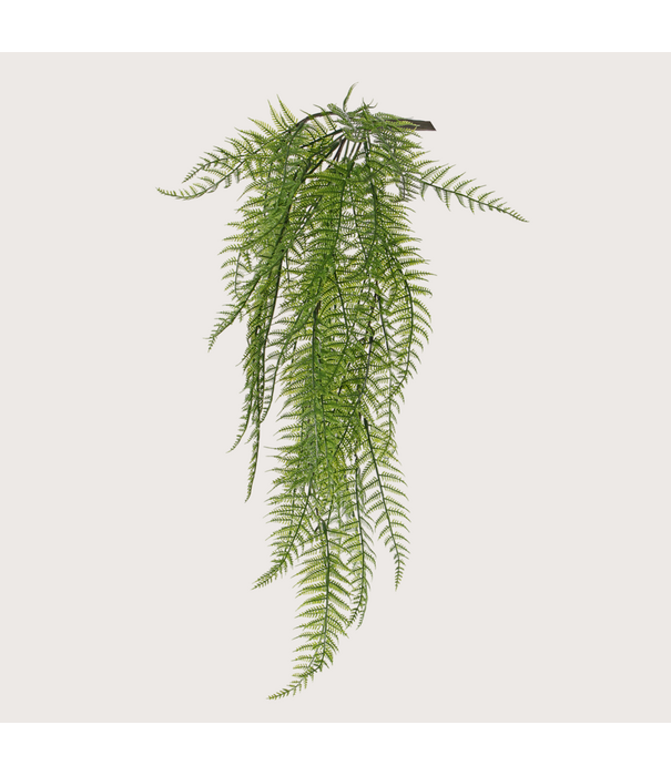 Woodwardia Varen Steker UV bestendig H70