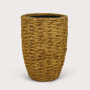 Pot Hyacinth D56 H77