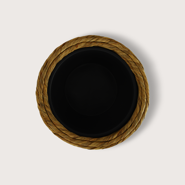 Pot Hyacinth D56 H77