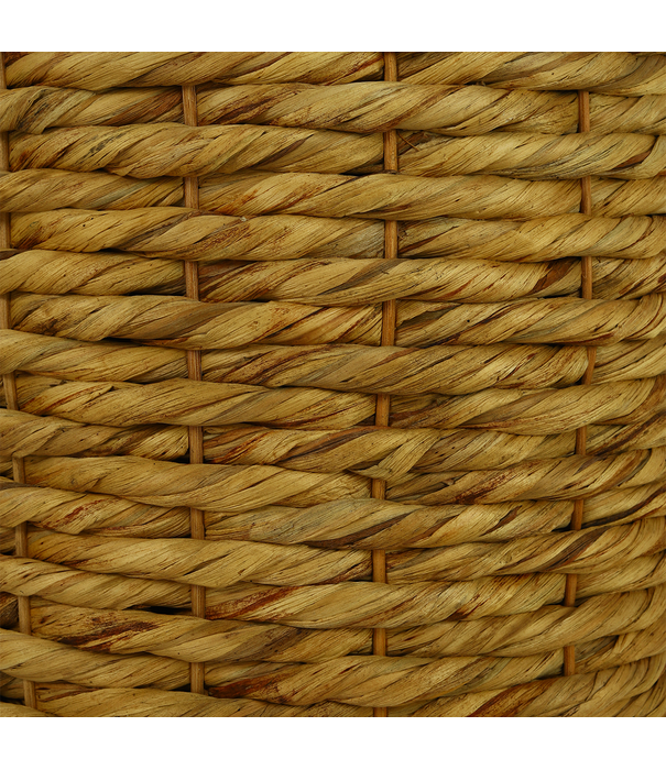 Vaas Hyacint L naturel D56 H77