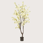 Blossom Tree White H210 D95