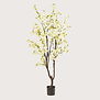 Blossom Tree White H210