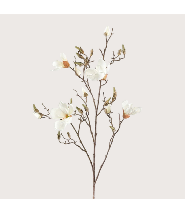 Magnolia Branch Cream H105