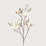 Magnolia Tak Crème H105
