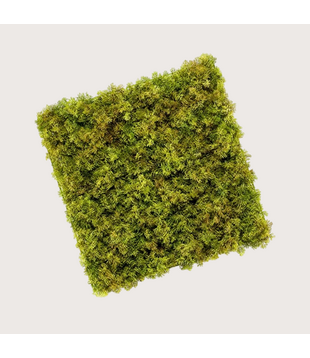 Iceland Moss base for Greenwall L50 B50 H4 UV + FR (UV resistant + Fire retardant)