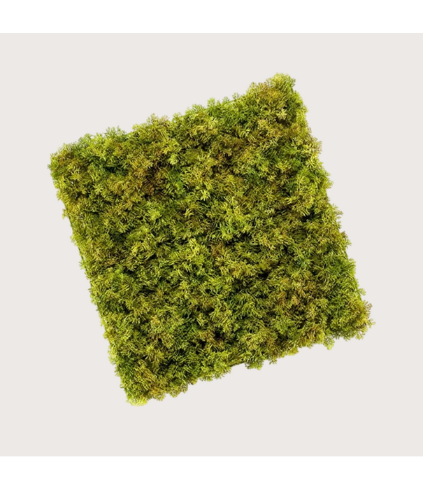 Iceland Mos basis voor Greenwall L50 B50 H4 UV + FR (UV-bestendig + Brandvertragend)