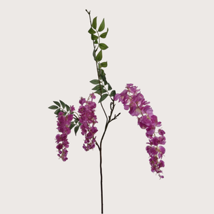 Wisteria H103 Lavendel