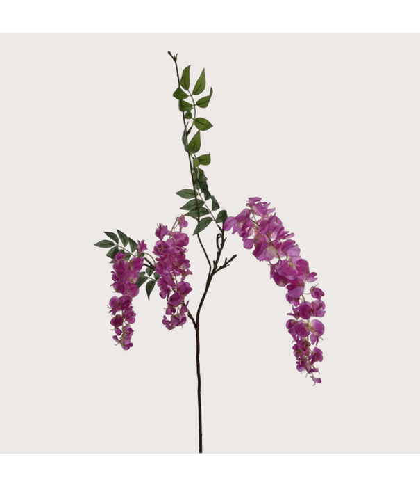 Wisteria H103 Lavender
