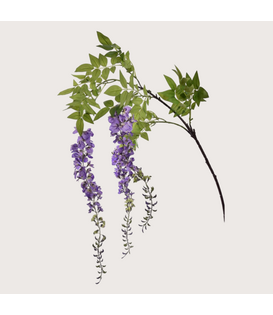 Wisteria H170 Lavendel