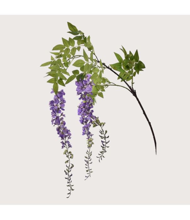 Wisteria H170 Lavendel
