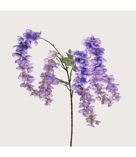 Wisteria H110 Lavendel