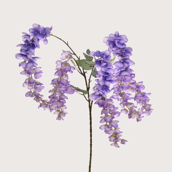 Wisteria H110 Lavendel